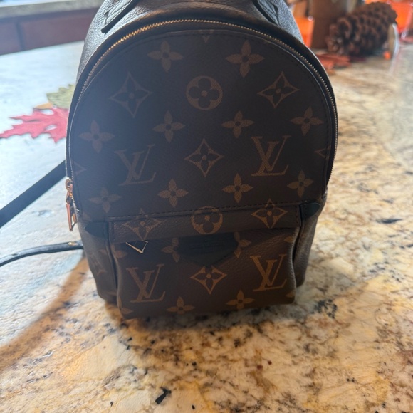 EXCELLENT Louis Vuitton Palm Springs Mini Monogram Backpack - Picture 6 of 8